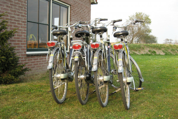 bicycle-258513_1920 fietsen