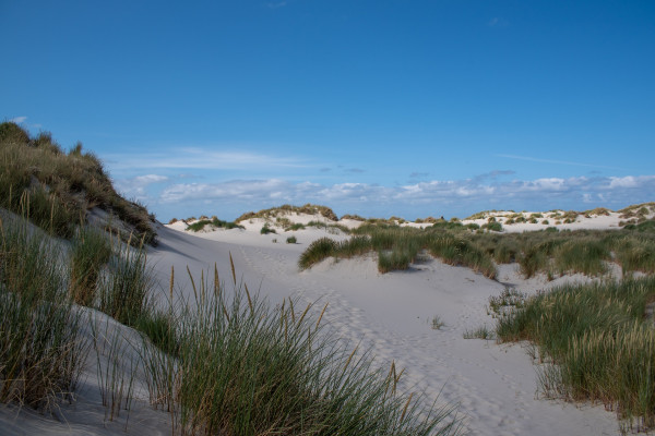 duinen Terschelling